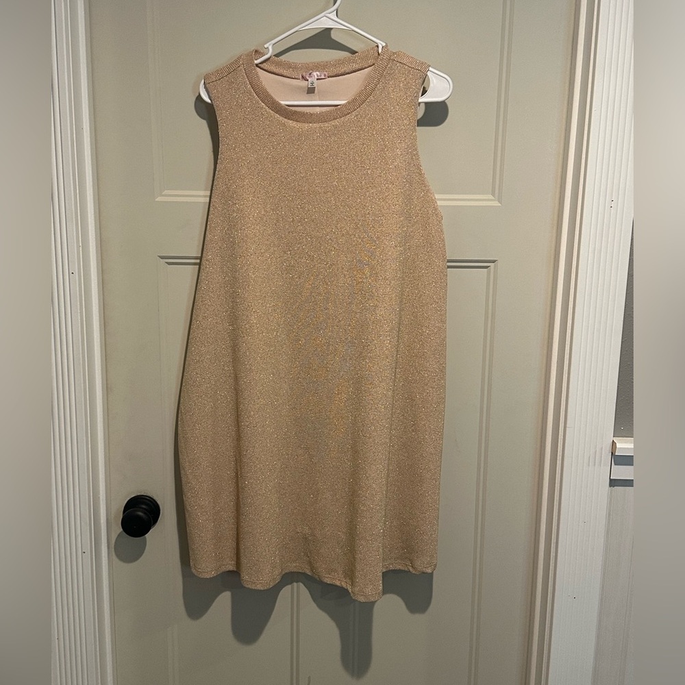 Sleeveless Glitter Shift Dress in Champagne
